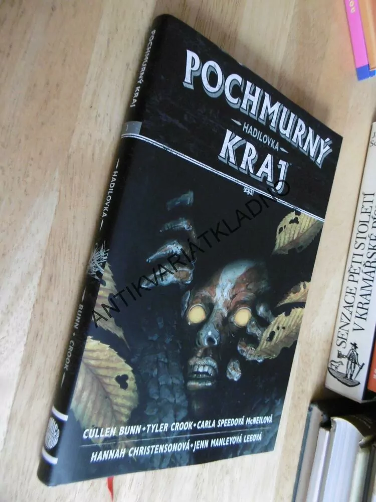 POCHMURNÝ KRAJ, HADILOVKA, CULLEN BUNN, TYLER CROOK, KOMIKS, **an