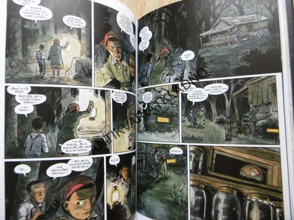 POCHMURNÝ KRAJ, HADILOVKA, CULLEN BUNN, TYLER CROOK, KOMIKS, **an