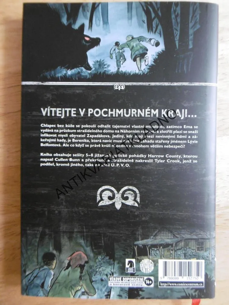 POCHMURNÝ KRAJ, HADILOVKA, CULLEN BUNN, TYLER CROOK, KOMIKS, **an