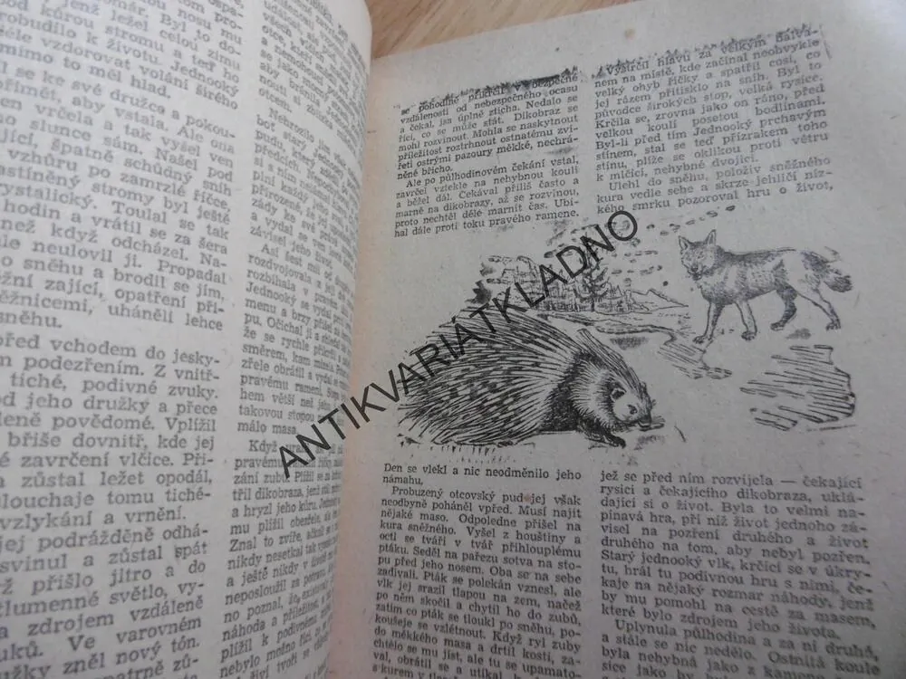 STARÉ ÚČTY, JAKOVLEV, NAUMOV