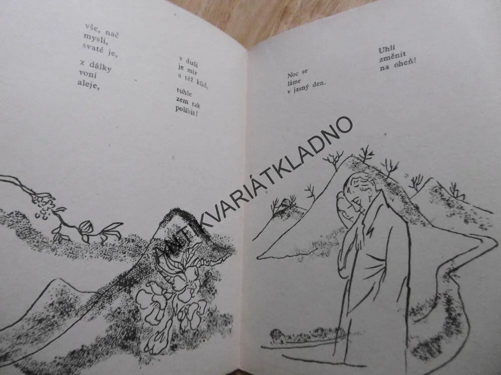 CO SI PROZPĚVOVAL CHUDÝ CHLAPEC, PETR PAŠEK, 1944, FRANTIŠEK KRATOCHVÍL