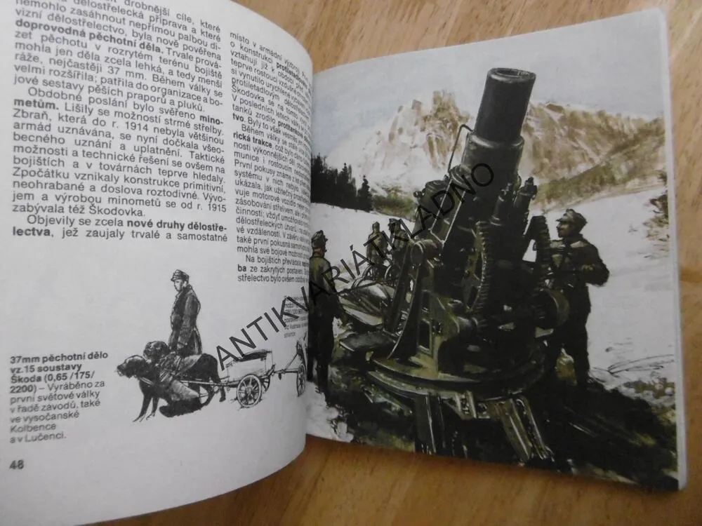 SALVY DUNÍ, VLADIMÍR KARLICKÝ, 1979, **an
