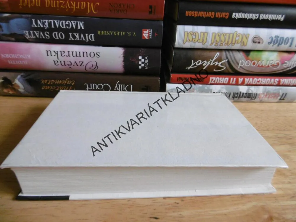 VOLBA LIDSKOSTI, ROZHOVOR NA DÁLKU,