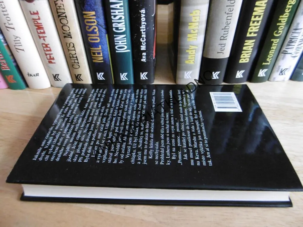 DÁLKOVÉ OVLÁDÁNÍ, ANDY MCNAB, **an