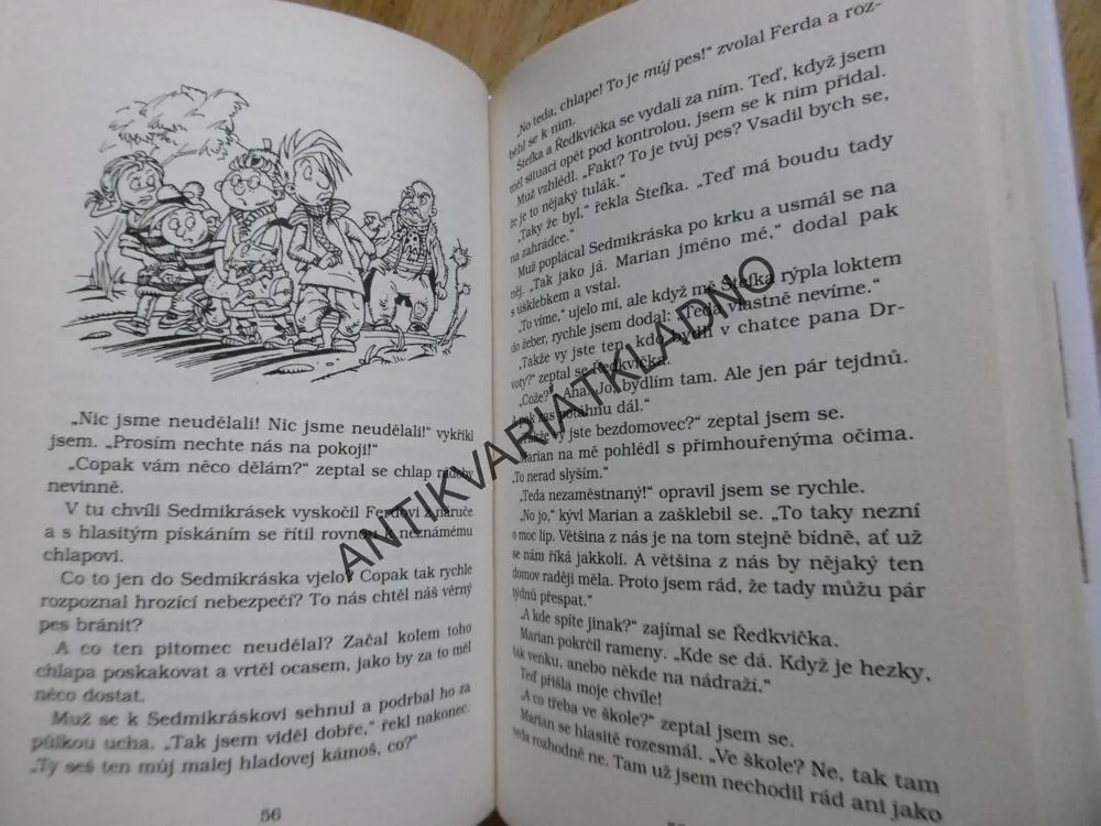 ČTYŘI A PŮL KAMARÁDA A PODEZŘELÝ ŘEDITEL, JOACHIM FRIEDRICH, PÁV,