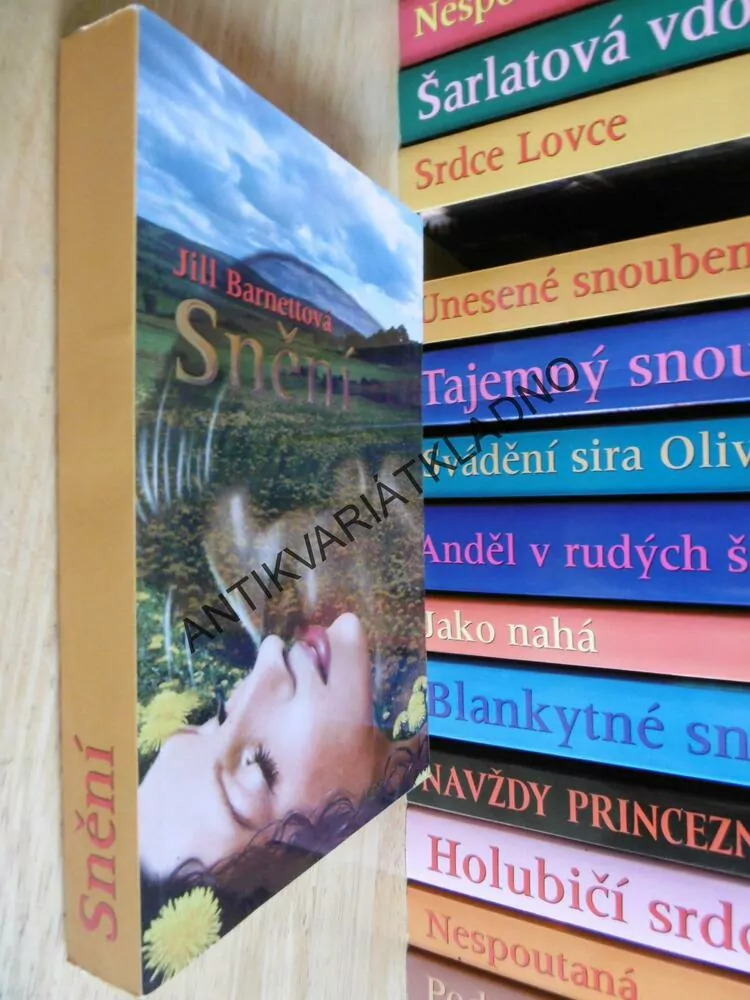 SNĚNÍ, JILL BARNETTOVÁ, **an