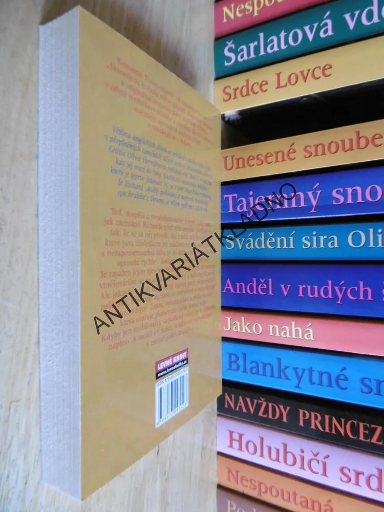 SNĚNÍ, JILL BARNETTOVÁ, **an