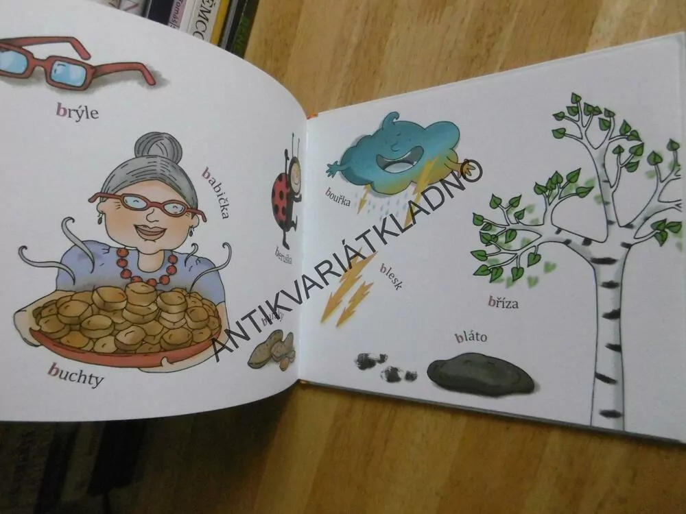 B JAKO BOUŘKA, ABECEDA NENÍ VĚDA, PTÁČKOVÁ, TILŠNEROVÁ, **an