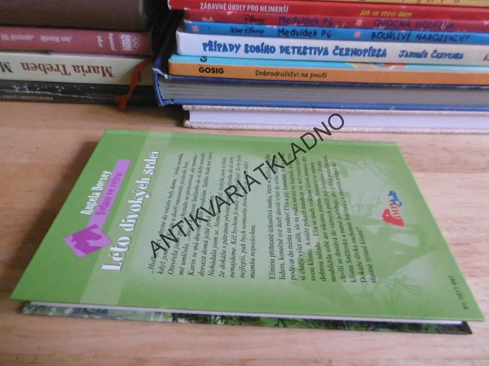 ZIMA KŘIŠŤÁLOVÝCH TANCŮ, ANGELA DORSEY, *an