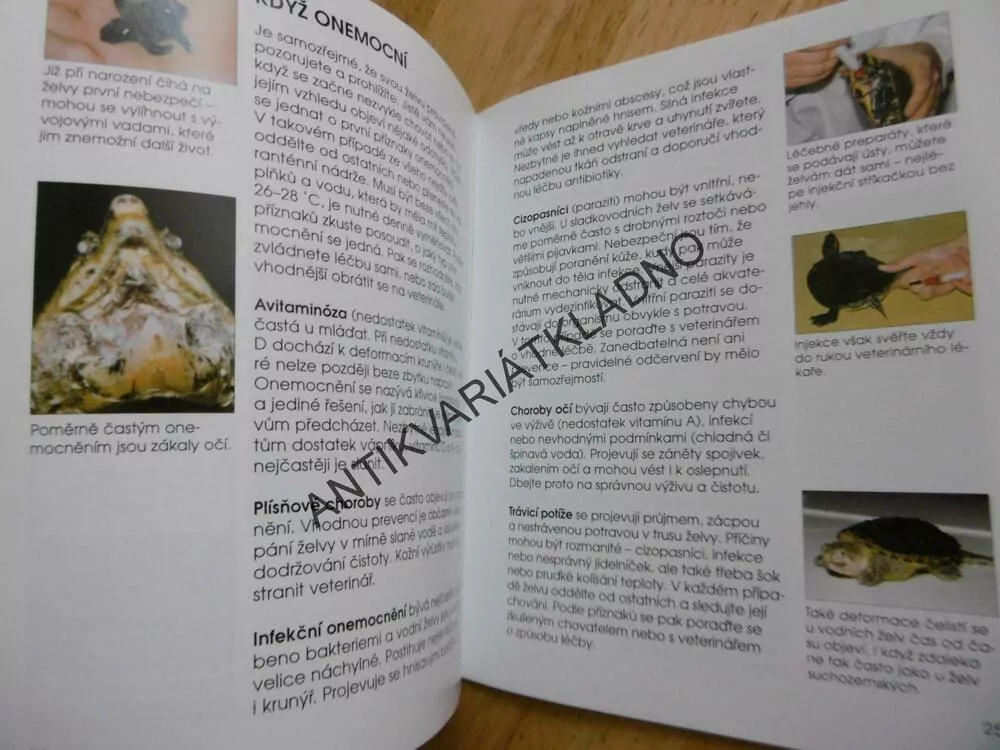 SLADKOVODNÍ ŽELVA, BYDLÍ S NÁMI, PRŮVODCE PRO MLADÉ CHOVATELE, **an