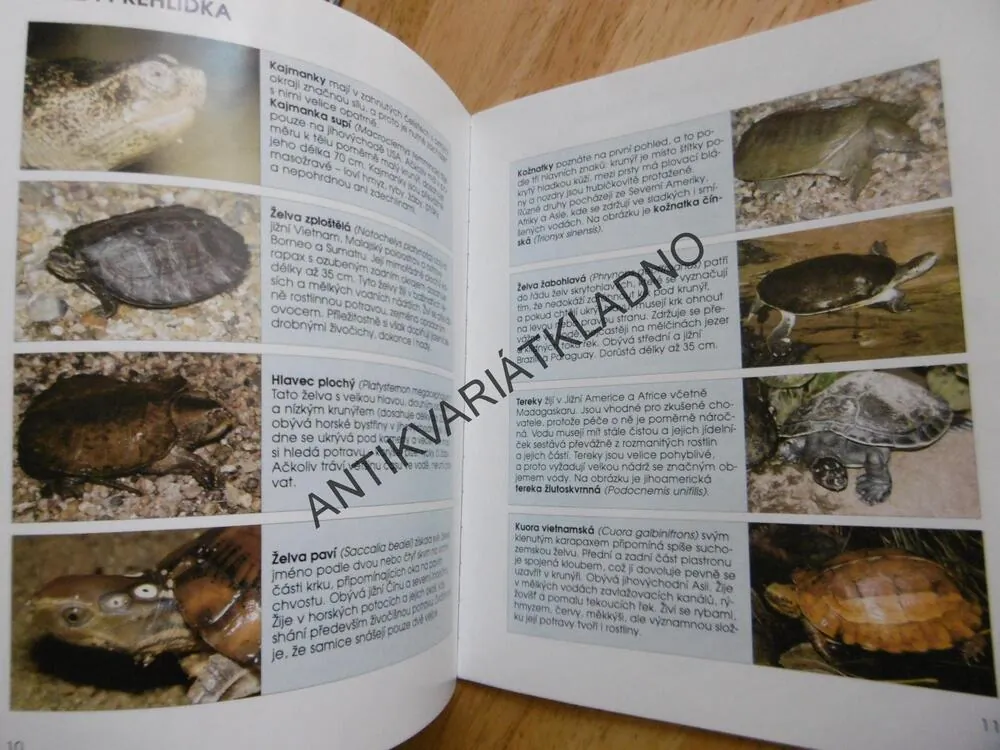 SLADKOVODNÍ ŽELVA, BYDLÍ S NÁMI, PRŮVODCE PRO MLADÉ CHOVATELE, **an