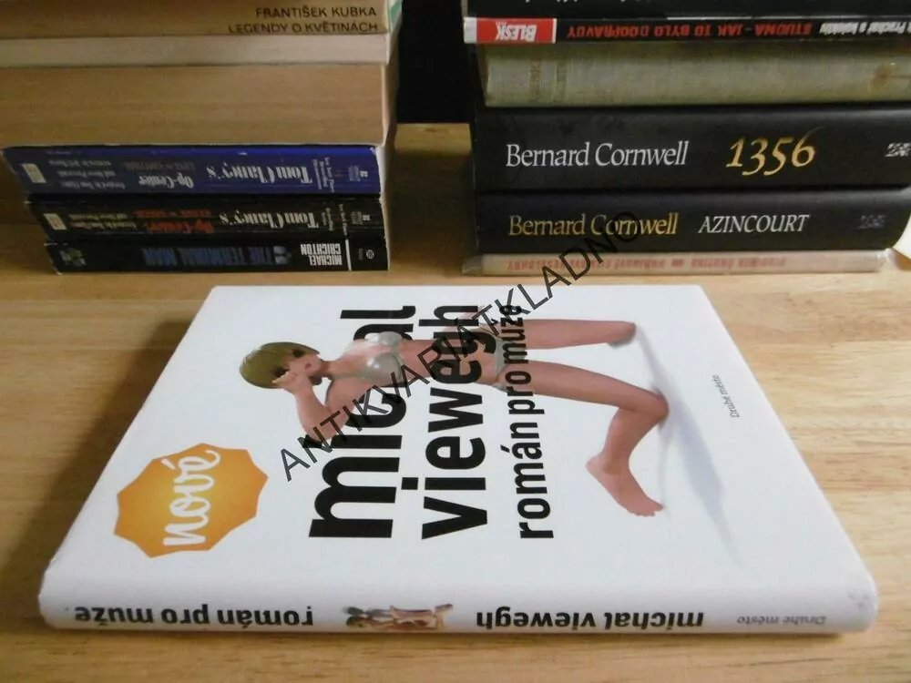 ROMÁN PRO MUŽE, MICHAL VIEWEGH, **an
