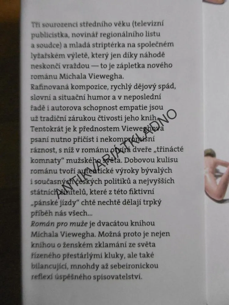 ROMÁN PRO MUŽE, MICHAL VIEWEGH, **an