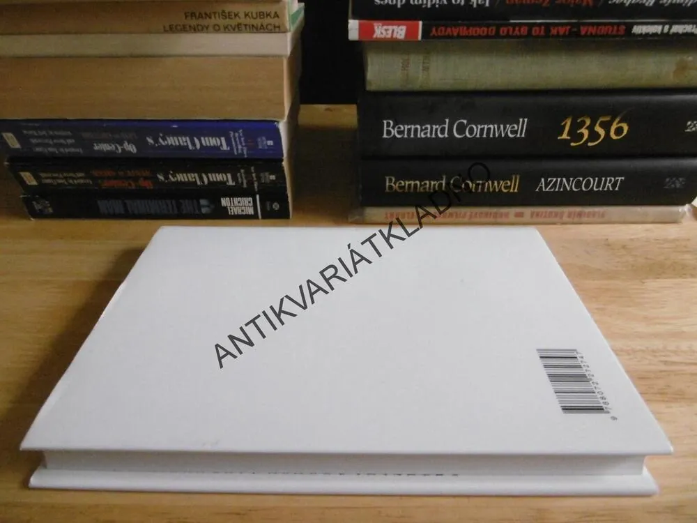 ROMÁN PRO MUŽE, MICHAL VIEWEGH, **an