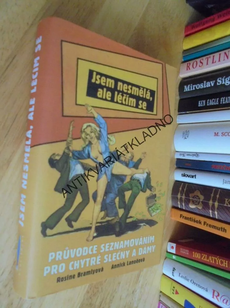 JSEM NESMĚLÁ, ALE LÉČÍM SE, PRŮVODCE SEZNAMOVÁNÍM, **an