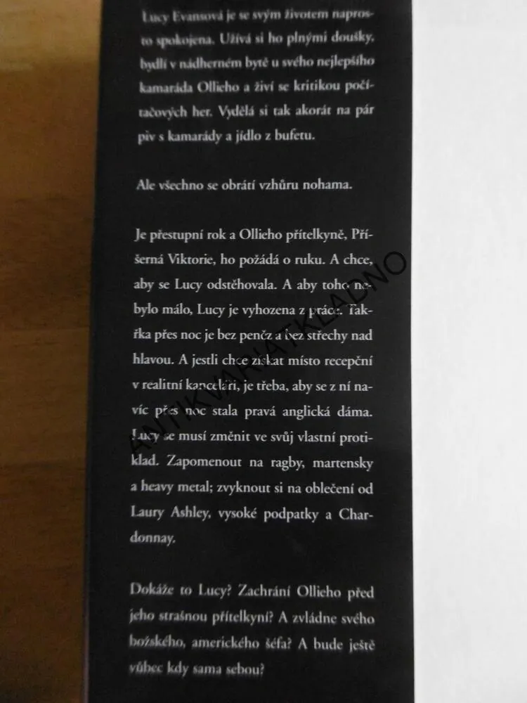 KOUZLO ŽIVOTA, DONNA HAY, **an