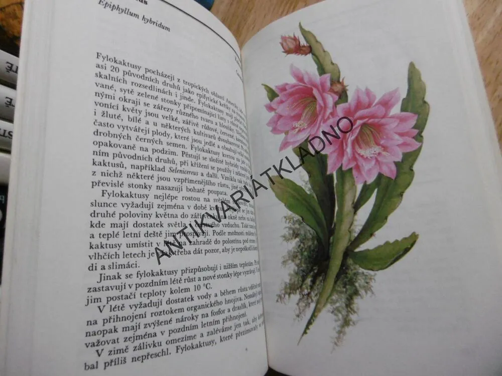 ZELENÝ DOMOV, TAVLINOVOVÁ, DIENSTBIER, **an