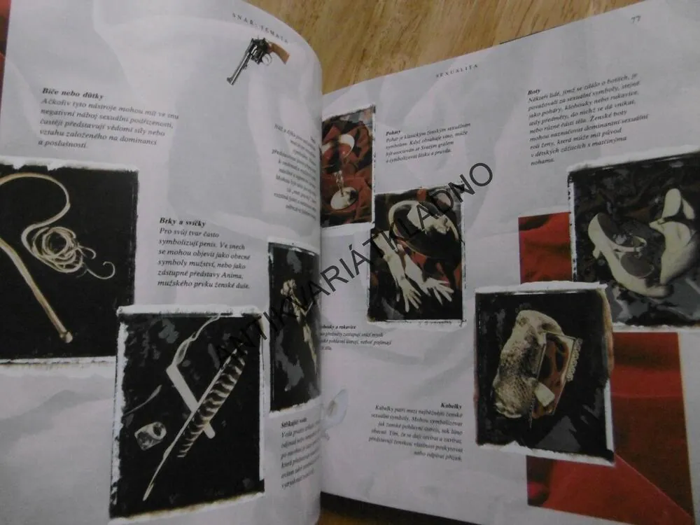 TAJEMNÝ JAZYK SNŮ, KLÍČ KE SNŮM, DAVID FONTANA, **AN