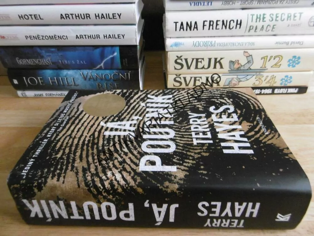 JÁ, POUTNÍK, TERRY HAYES,