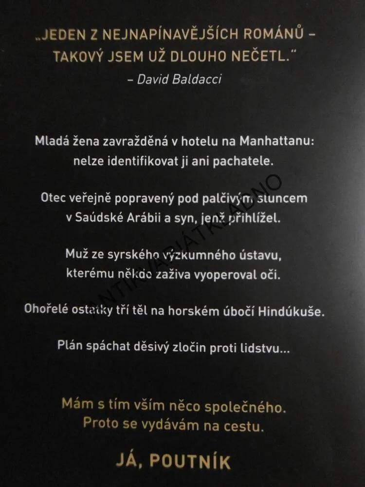 JÁ, POUTNÍK, TERRY HAYES,