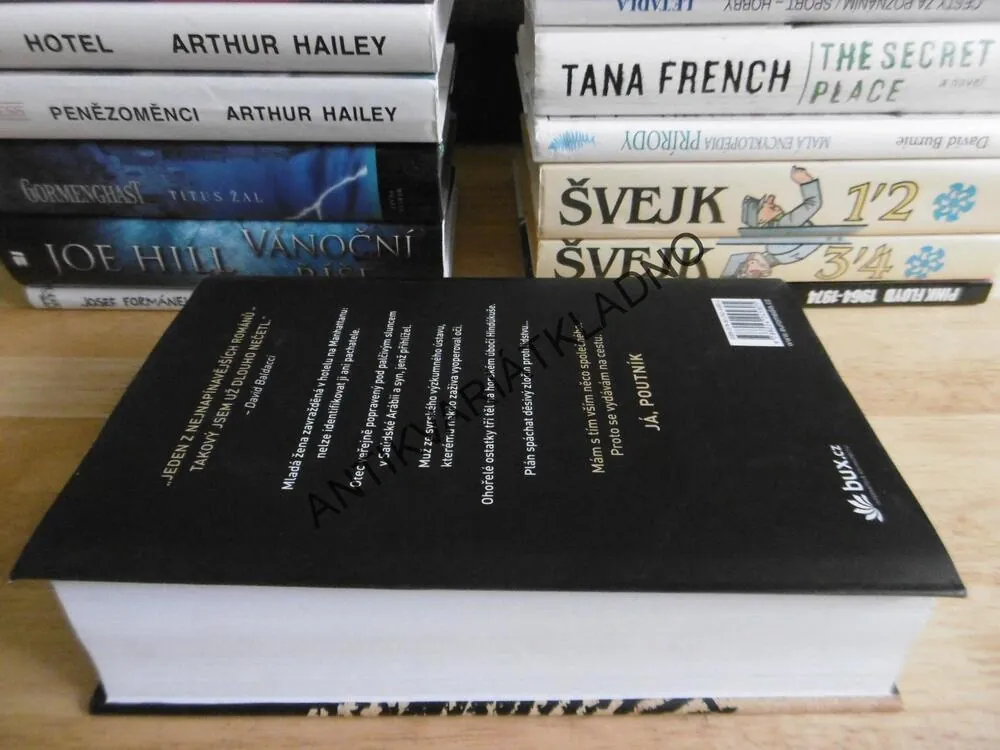 JÁ, POUTNÍK, TERRY HAYES,