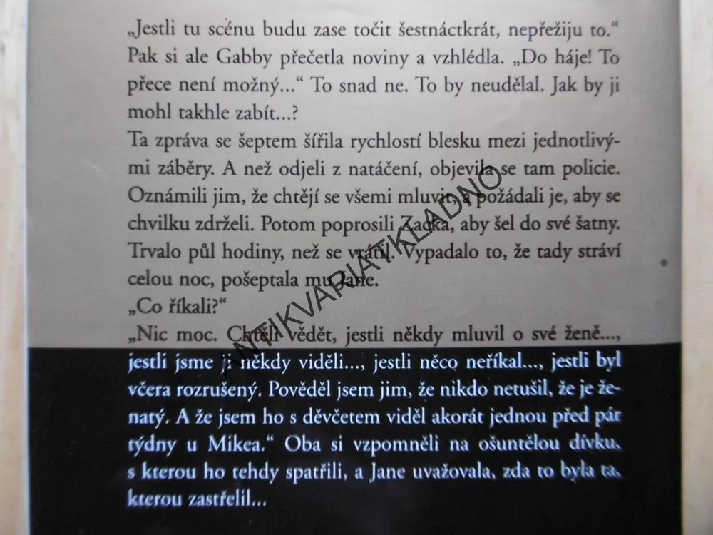 TAJEMSTVÍ, DANIELLE STEEL, **an