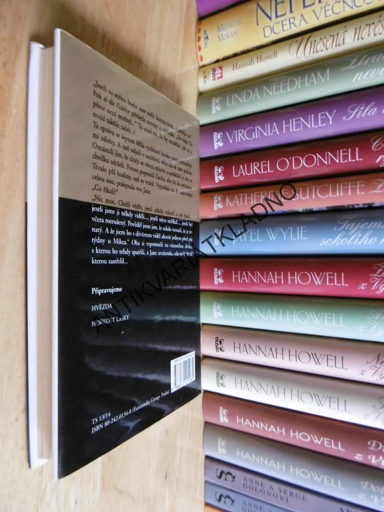 TAJEMSTVÍ, DANIELLE STEEL, **an