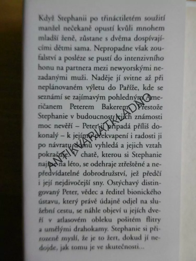 DVOJNÍK, DANIELLE STEEL, **an