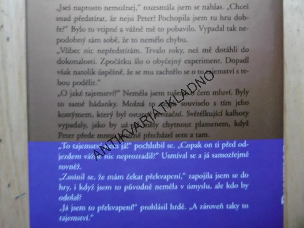DVOJNÍK, DANIELLE STEEL, **an