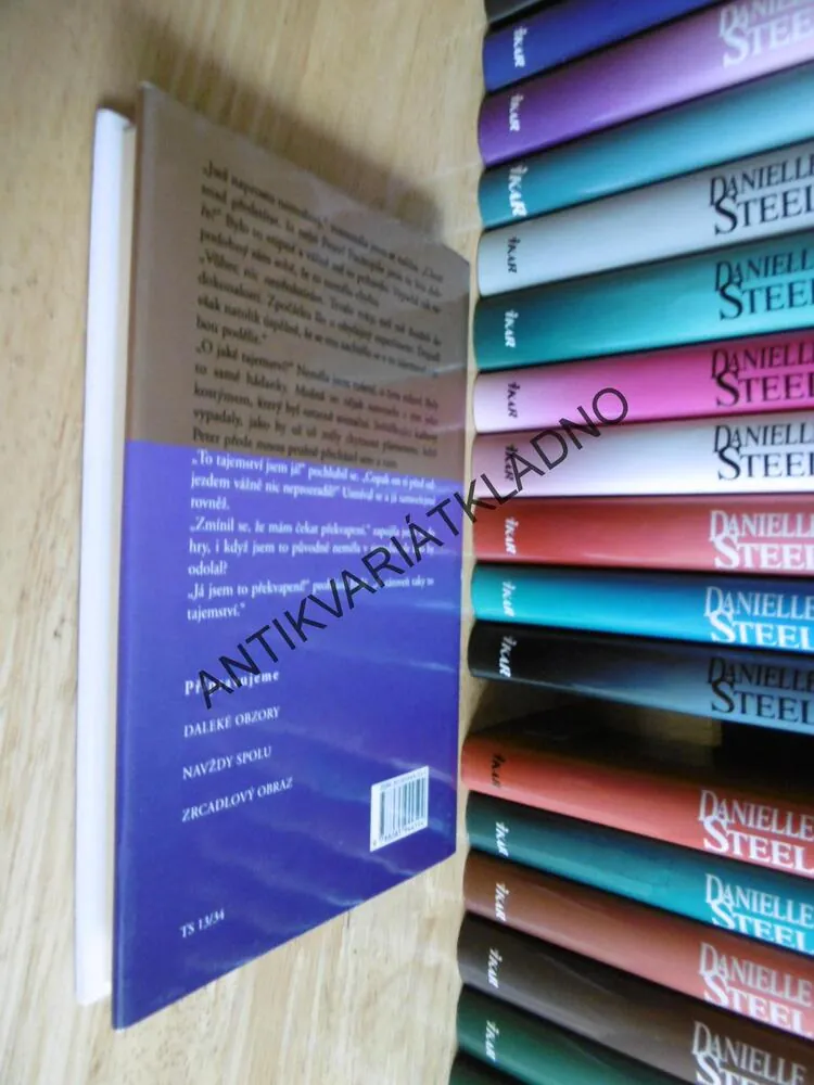 DVOJNÍK, DANIELLE STEEL, **an