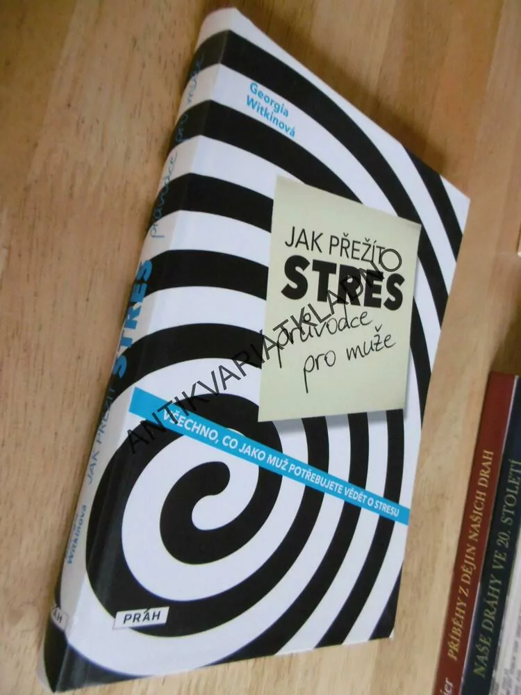 JAK PŘEŽÍT STRES, PRŮVODCE PRO MUŽE, WITKINOVÁ, **an