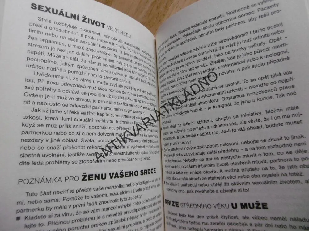 JAK PŘEŽÍT STRES, PRŮVODCE PRO MUŽE, WITKINOVÁ, **an