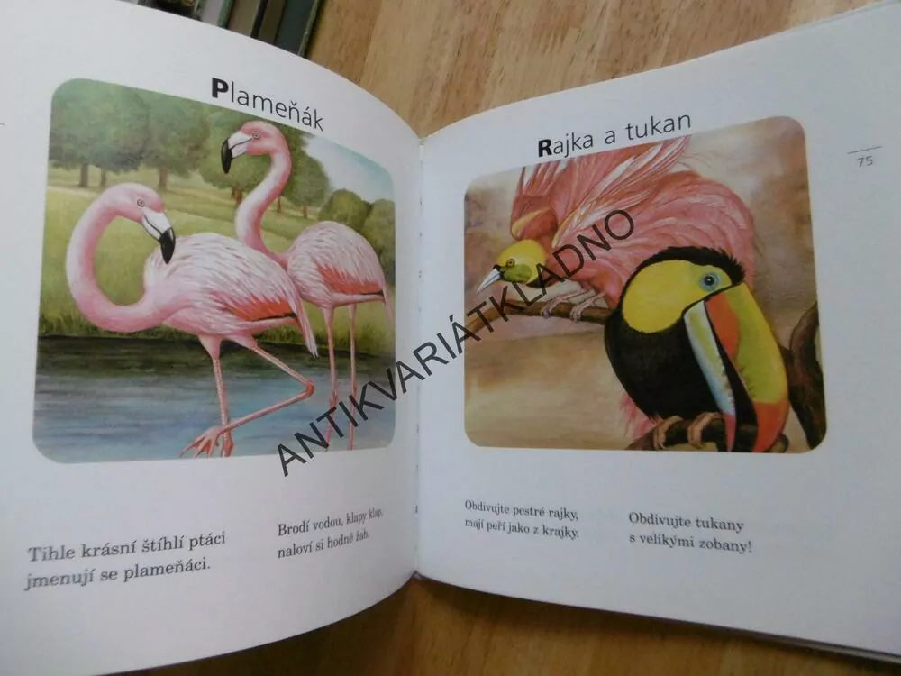 KAMARÁDI ZVÍŘÁTKA, JIŘÍ ŽÁČEK, **an
