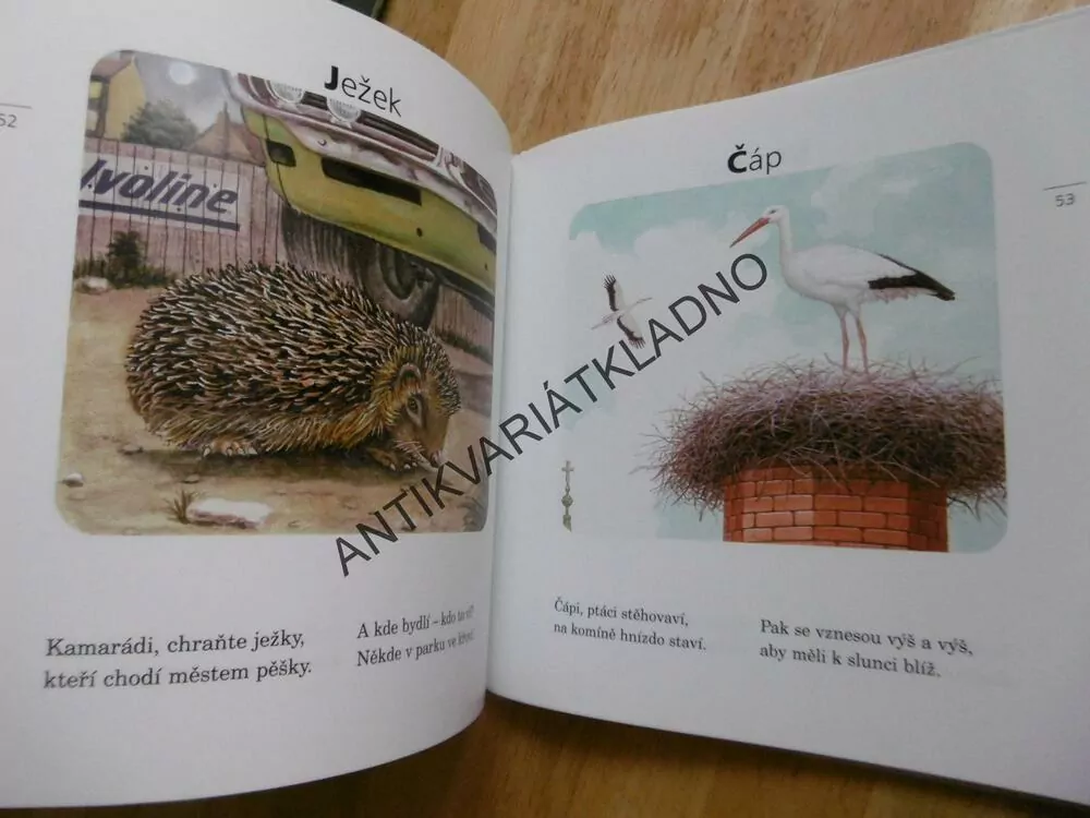 KAMARÁDI ZVÍŘÁTKA, JIŘÍ ŽÁČEK, **an
