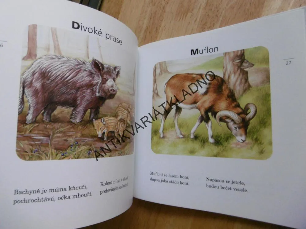 KAMARÁDI ZVÍŘÁTKA, JIŘÍ ŽÁČEK, **an