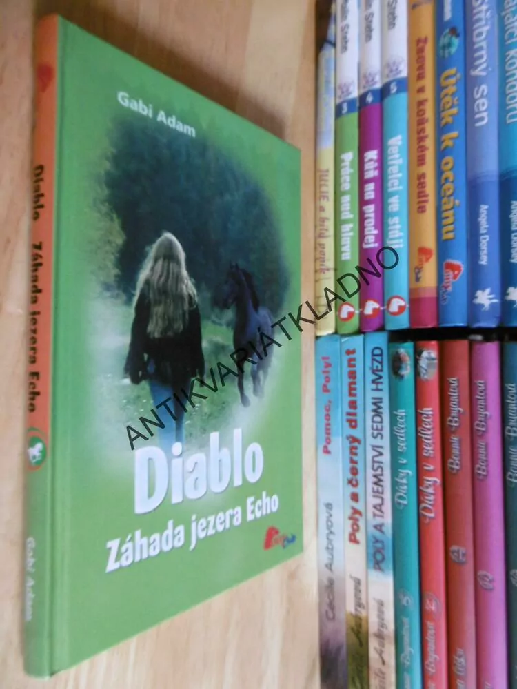 DIABLO,ZÁHADA JEZERA ECHO, GABI ADAM, **an