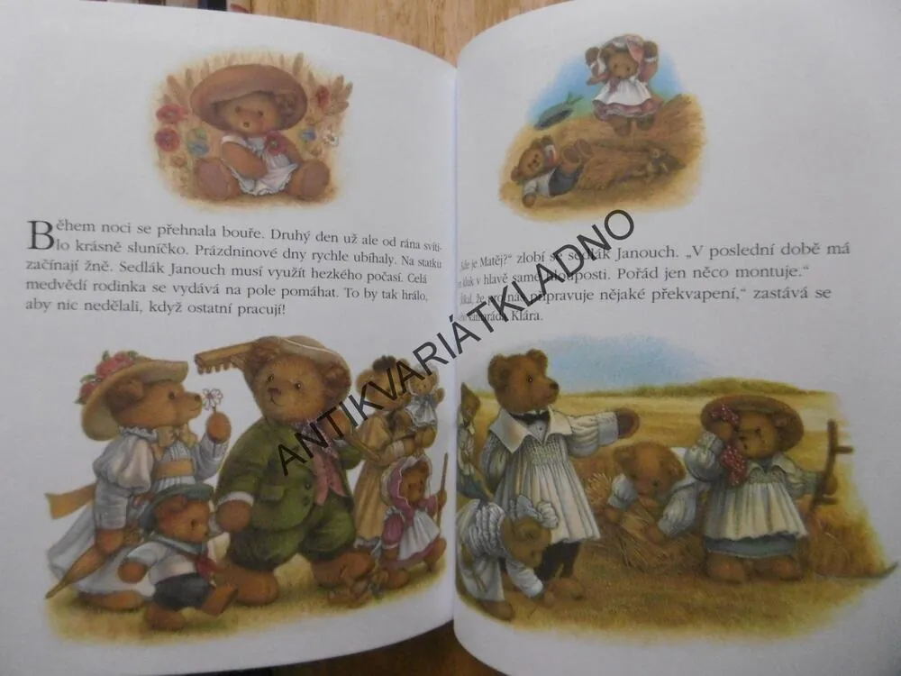RODINA MEDVÍDKŮ JEDE NA PRÁZDNINY, CAROL LAWSONOVÁ, **an