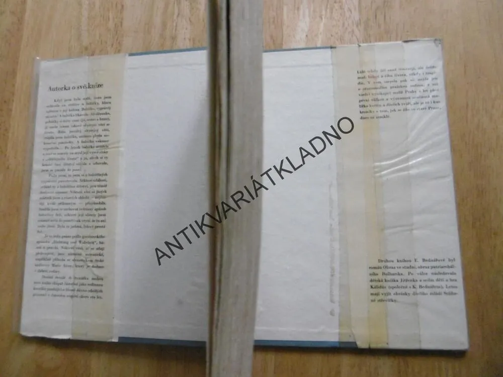POD STAROPRAŽSKÝM NEBEM, EMILIE BEDNÁŘOVÁ, NEPRAKTA, **an