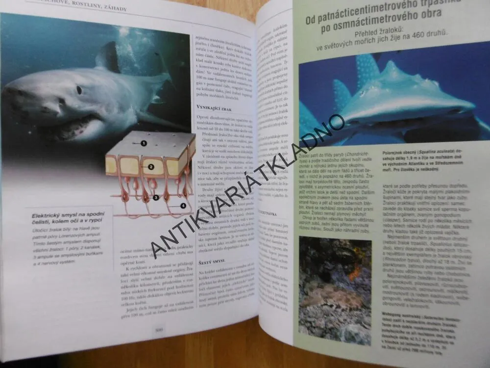 NEVYŘEŠENÉ ZÁHADY LIDSTVA, VĚDA NA ROZPACÍCH, **an