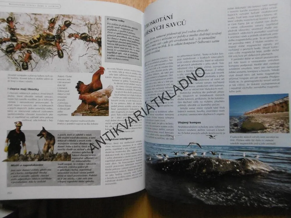 TAJEMSTVÍ KOLEM NÁS, ZÁHADY PŘÍRODY, DĚJIN, VĚDY A NÁBOŽENSTVÍ, REDERS DIGEST, **an