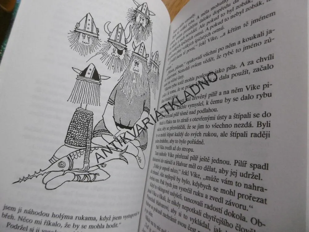 VIKING VIKE V ZEMI MÁVINKŮ, RUNER JOHSSON, **an