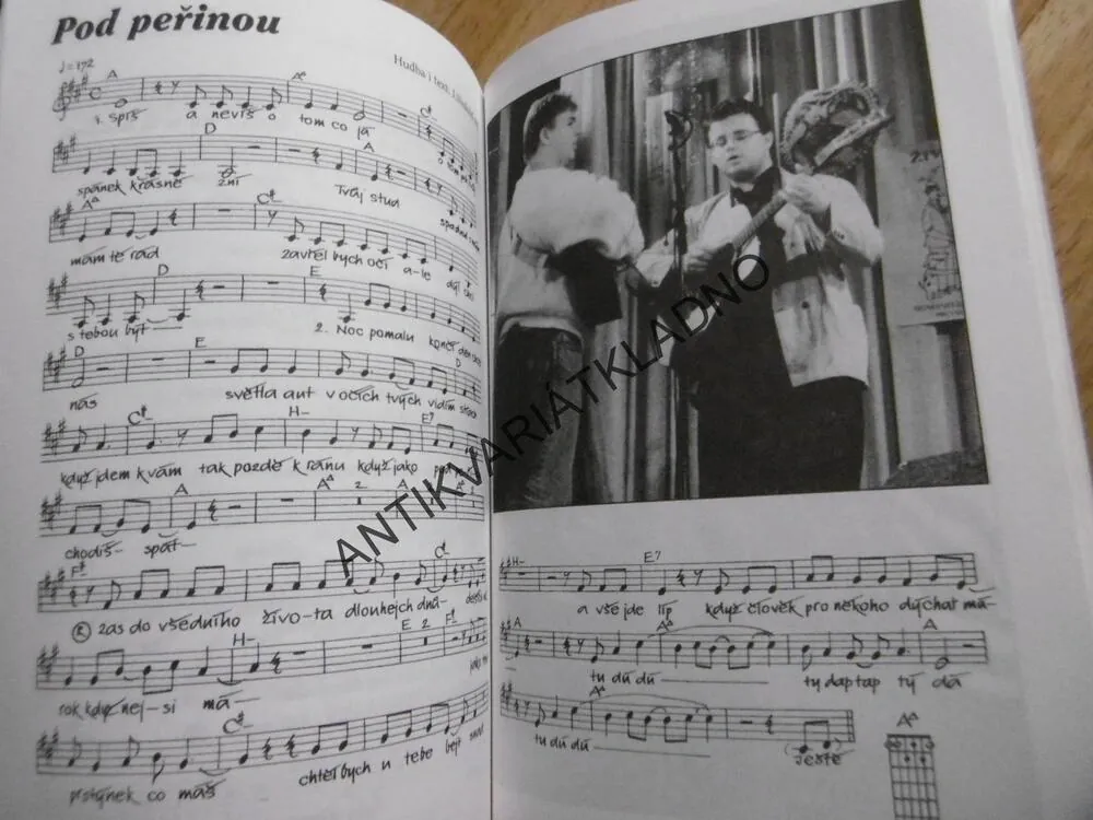 JAN NEDVĚD A PŘÍBUZNÍ, 1996, **an