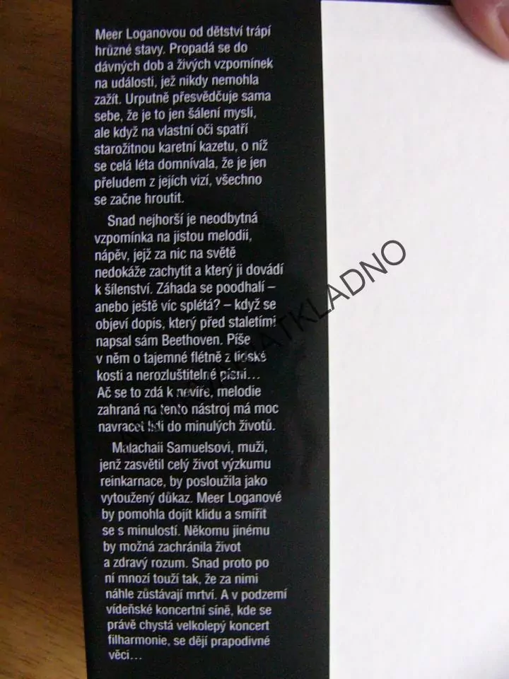 STRÁŽCI PAMĚTI, M.J.ROSEOVÁ, REINKARNOVANÝ, **an
