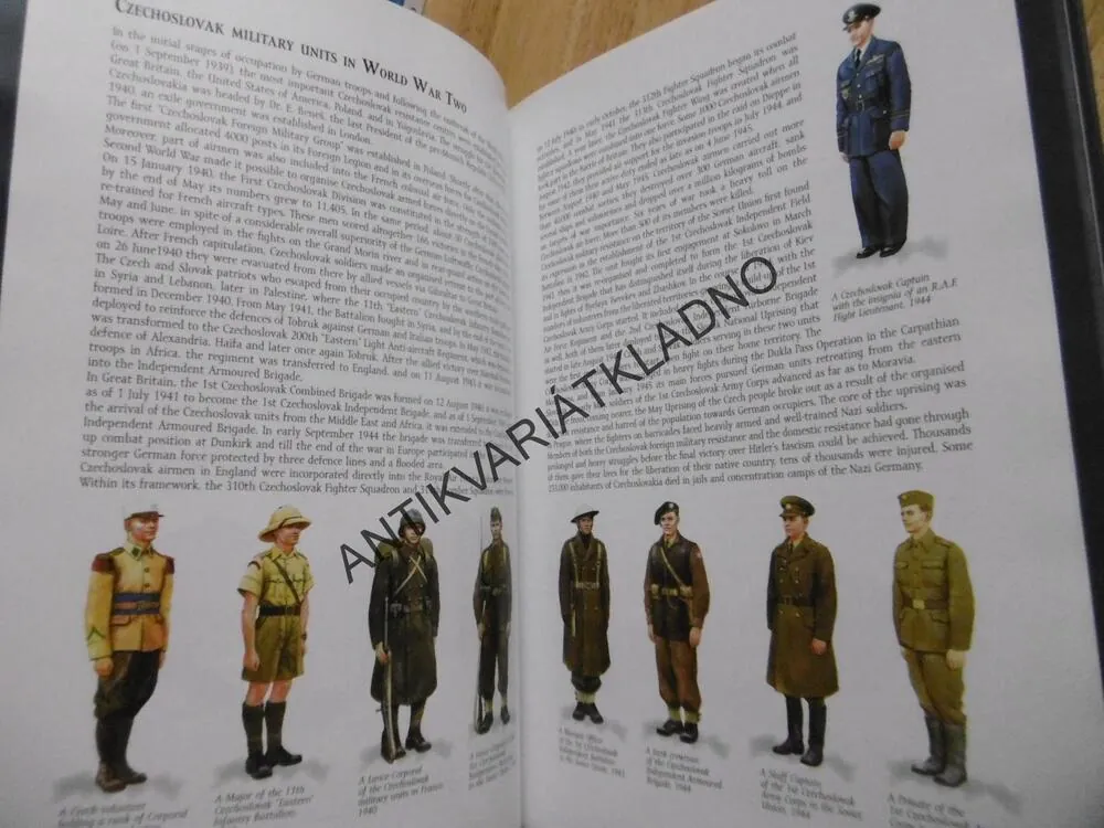 ČESKÁ REPUBLIKA A JEJÍ PROFESIONÁLNÍ ARMÁDA, ANGLICKY, THE CZECH REPUBLIC AND ITS PROSESSIONAL ARMED FORCES, VČETNĚ CD , **an