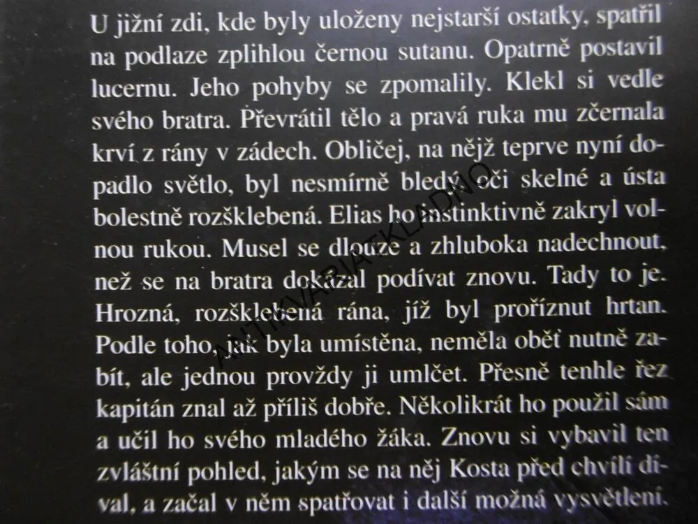 VĚČNÁ IKONA, NEIL OLSON, **an