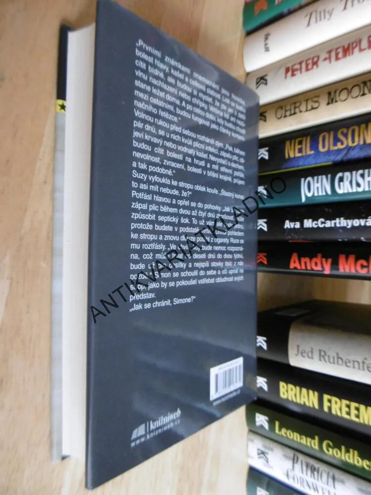 TEMNÁ ZIMA, ANDY MCNAB, **an