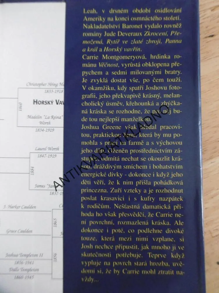 VĚČNOST, JUDE DEVERAUX, **an