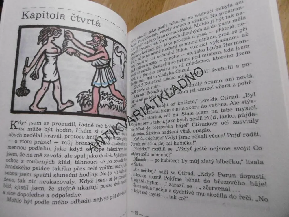 DÍVČÍ VÁLKA, F.R. ČECH, NEPRAKTA, 1990, **an