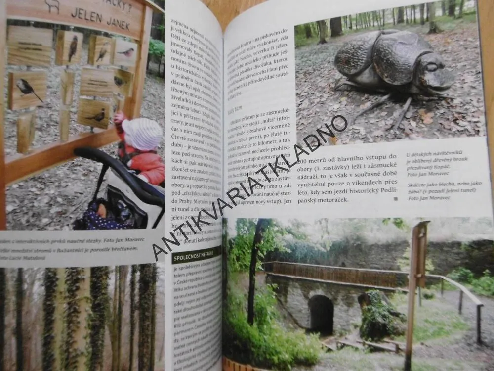 PŘÍRODA 3-4/2019, DRSNÉ NÁMLUVY ŽRALOKŮ MODRÝCH