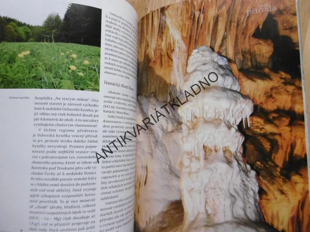 PŘÍRODA 3-4/2019, DRSNÉ NÁMLUVY ŽRALOKŮ MODRÝCH